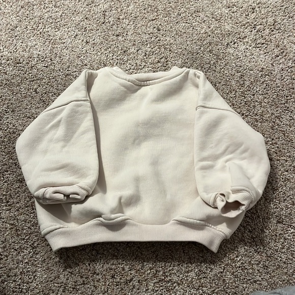 A thick Zara sweater - Picture 2 of 3